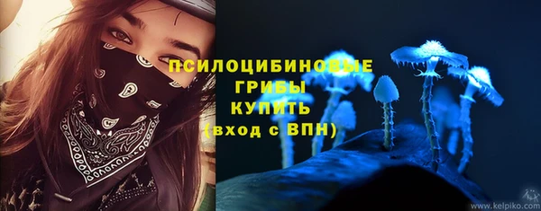 твердый Зеленодольск
