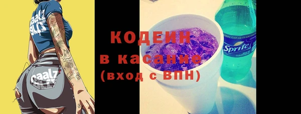 твердый Зеленодольск