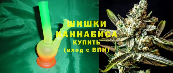 гашик Зеленокумск