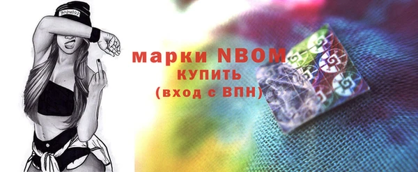 гашик Зеленокумск