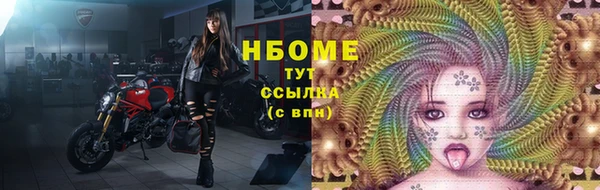 гашик Зеленокумск